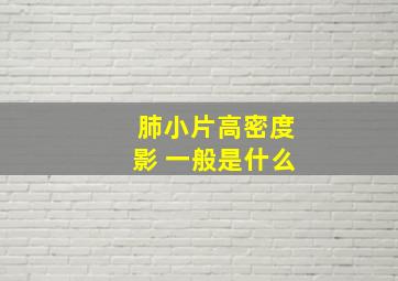 肺小片高密度影 一般是什么